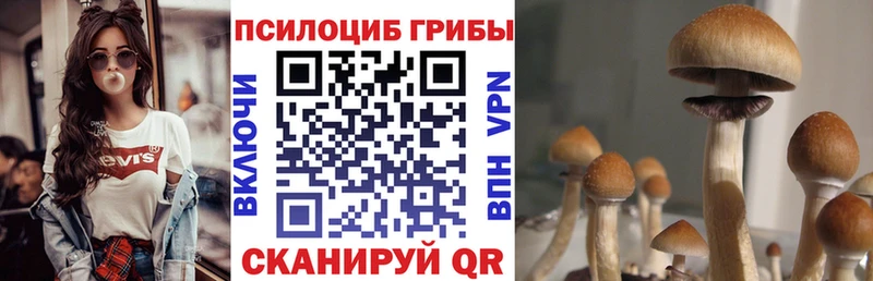 Псилоцибиновые грибы мухоморы  даркнет клад  Мценск  купить наркотик  мега  